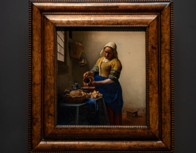 afbeelding vermeer verrast